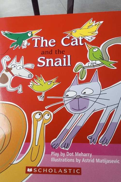 the cat and the snail