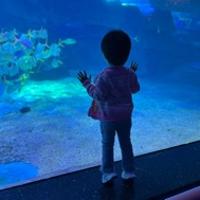 讀書之旅
