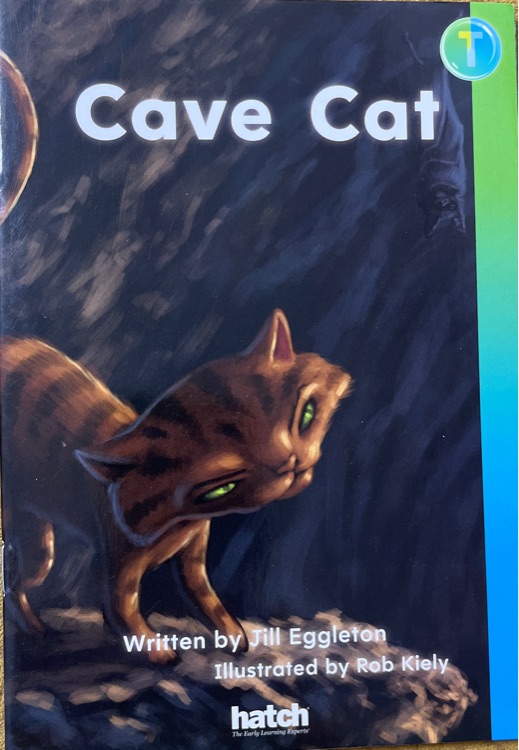 Cave Cat