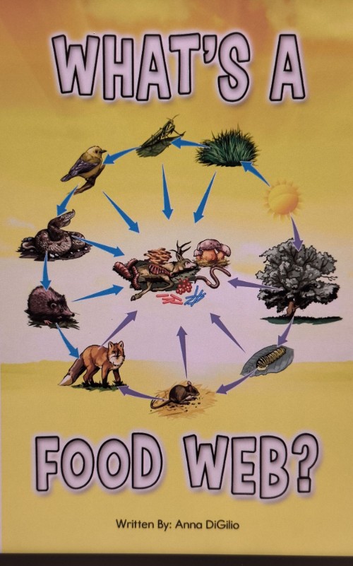 What's A Food Web
