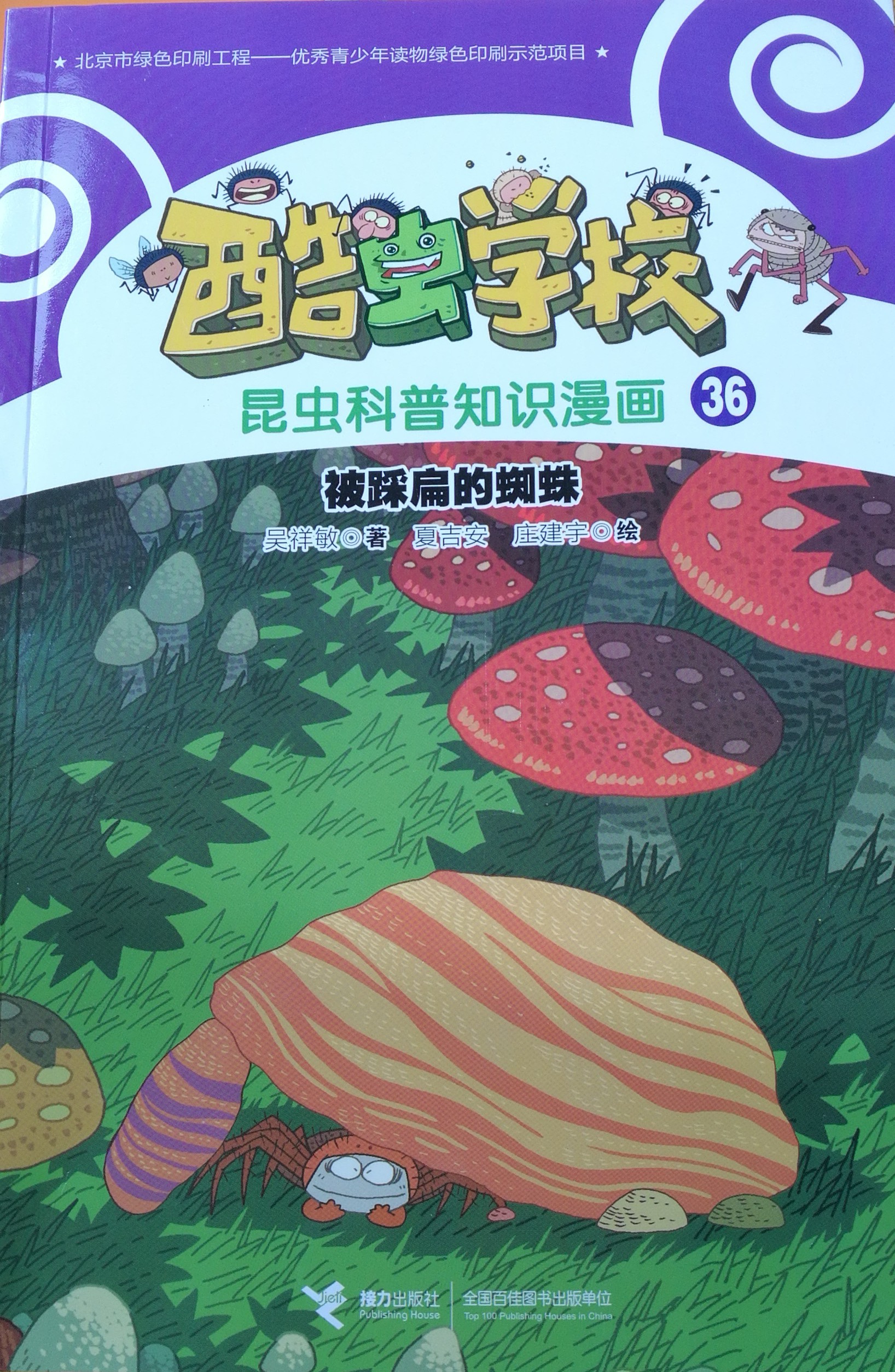 被踩扁的蜘蛛