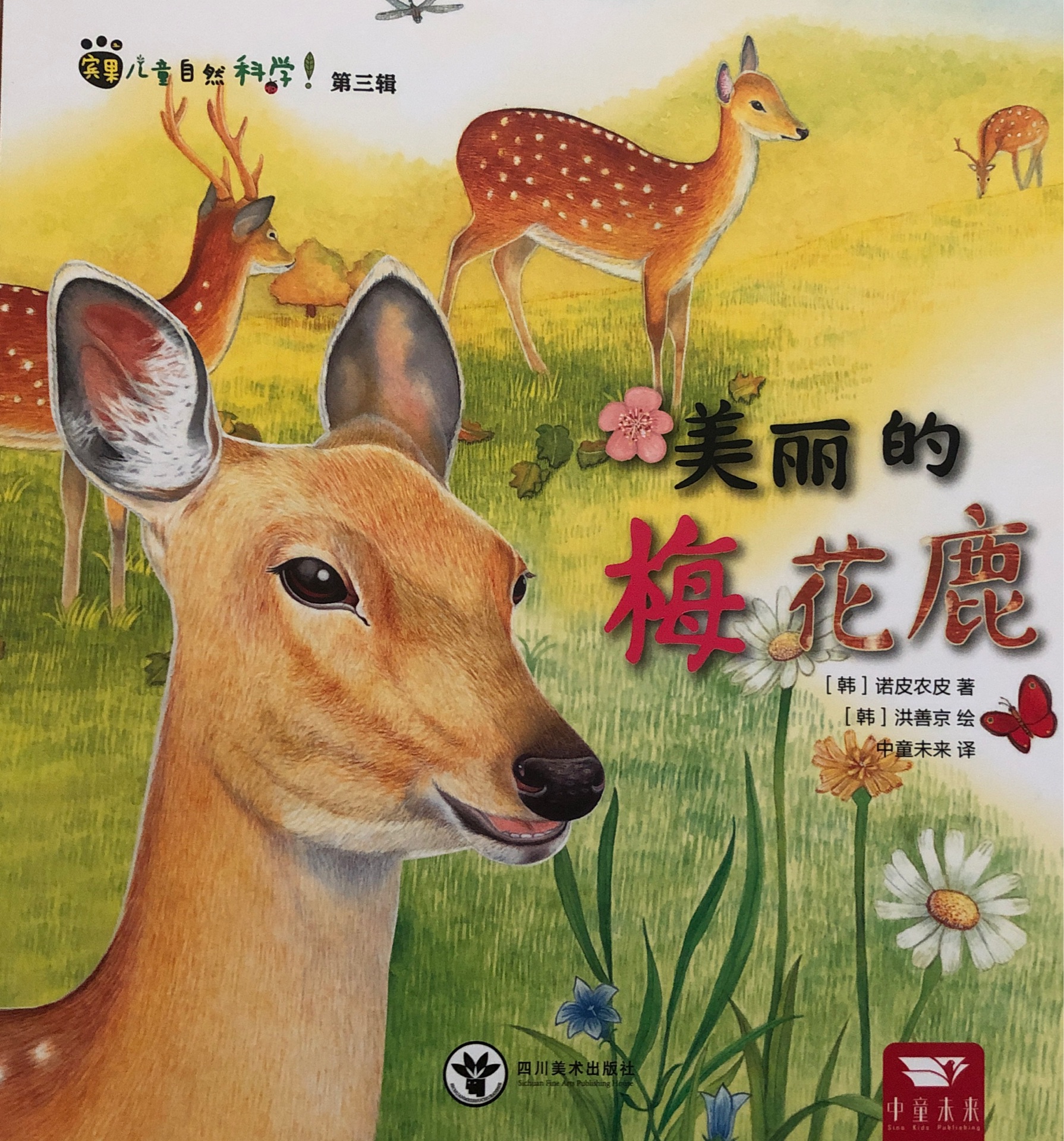 賓果兒童自然科學(xué) 45 美麗的梅花鹿