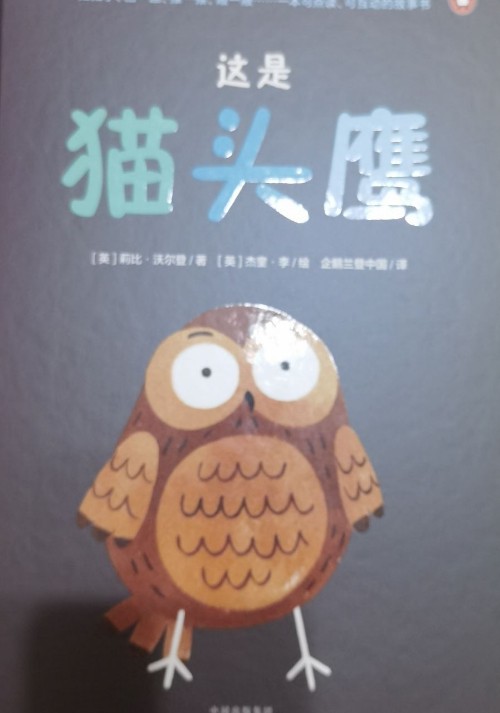 这是猫头鹰