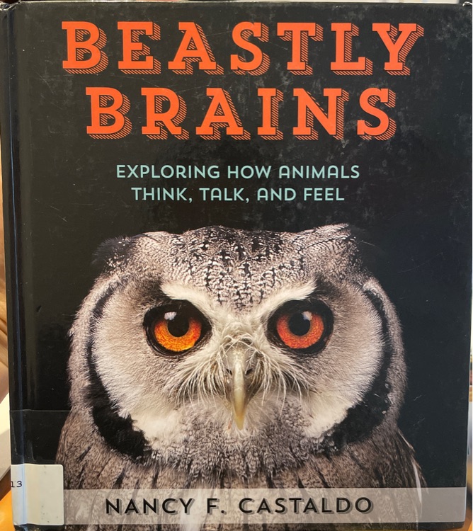 Beastly Brains