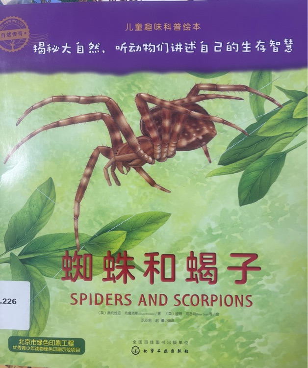 蜘蛛和蝎子