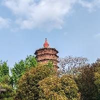 李日月星辰
