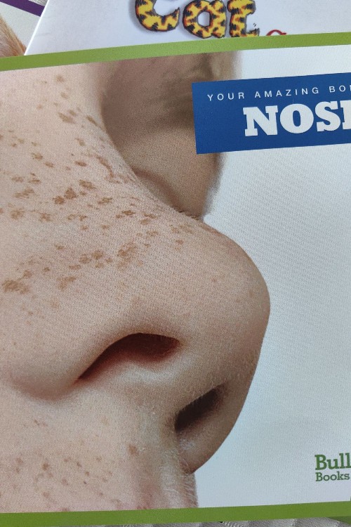 nose