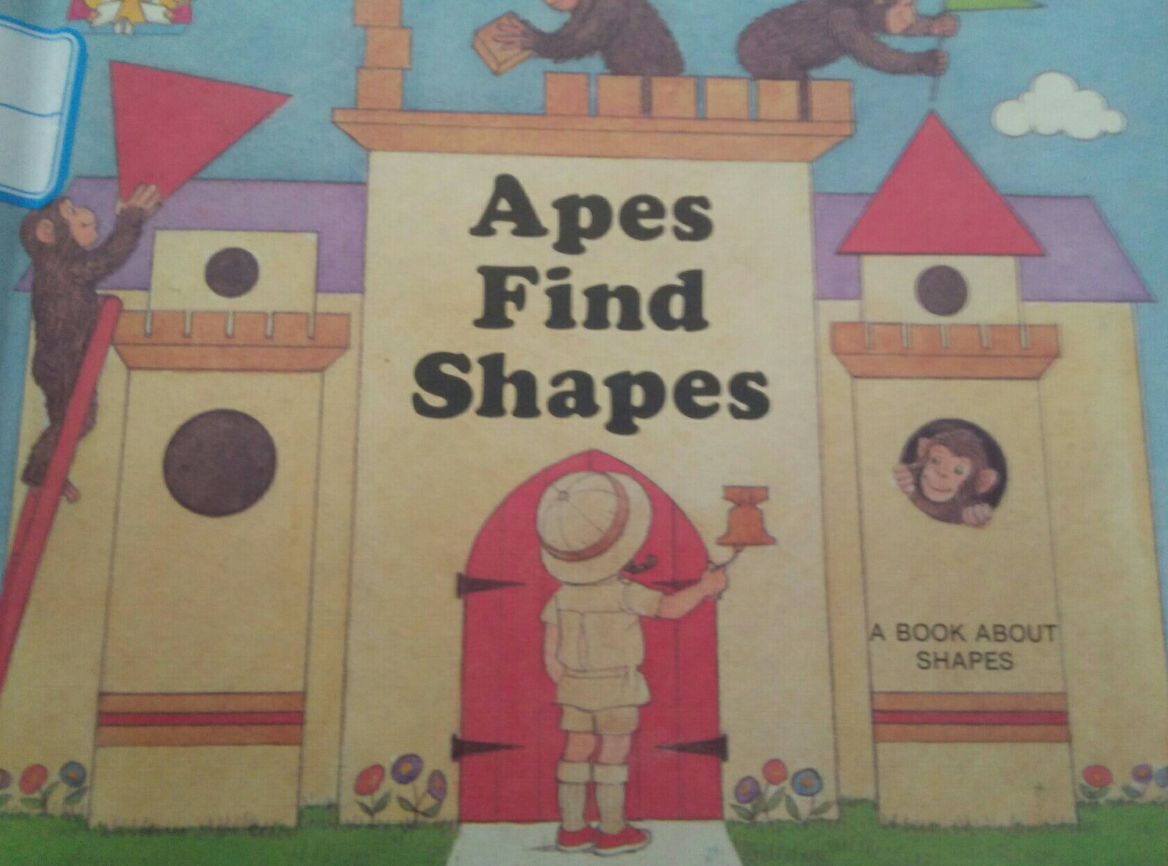 Apes find shapes