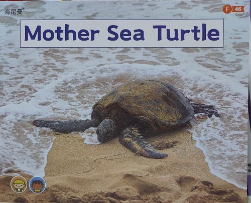 海尼曼G2-F46-Mother Sea Turtle