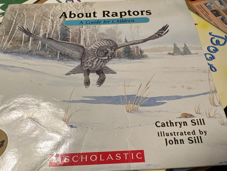 About raptors