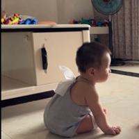 兔兔阅读之旅