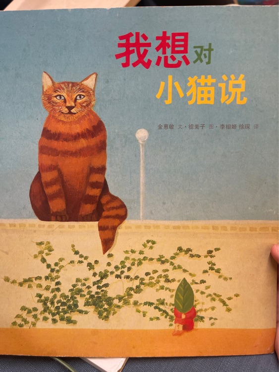 我想對小貓說 東方娃娃