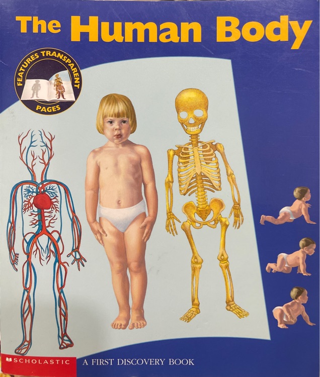 The Human Body - A First Discovery Book (Features Transparent Pages)