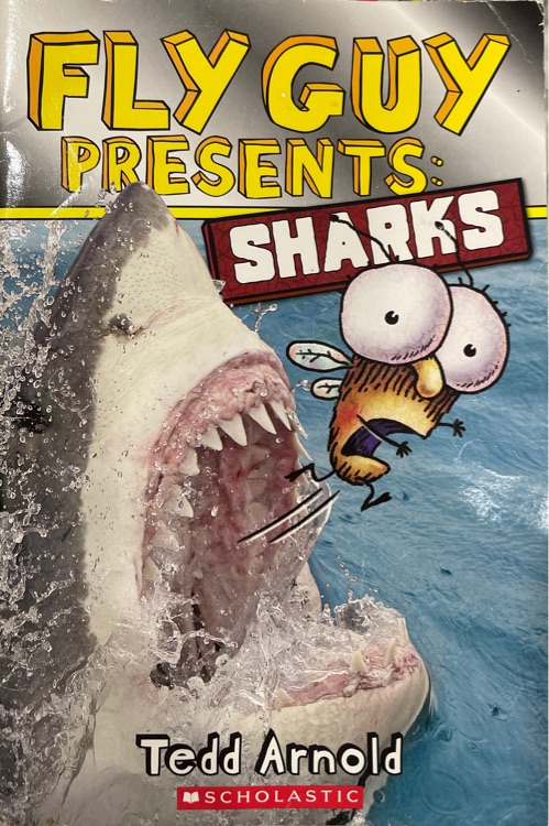 Fly Guy Sharks