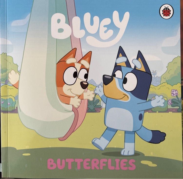 Bluey butterflies