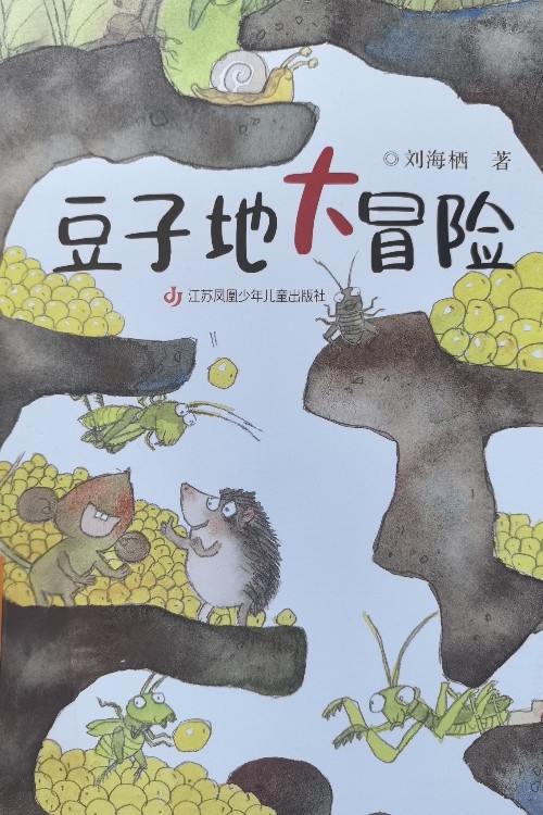 豆子地大冒險