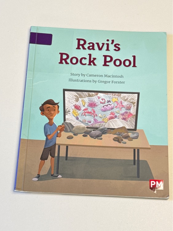 Ravi's Rock Pool