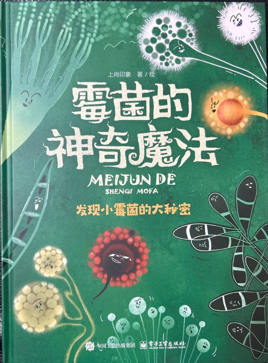 霉菌的神奇魔法