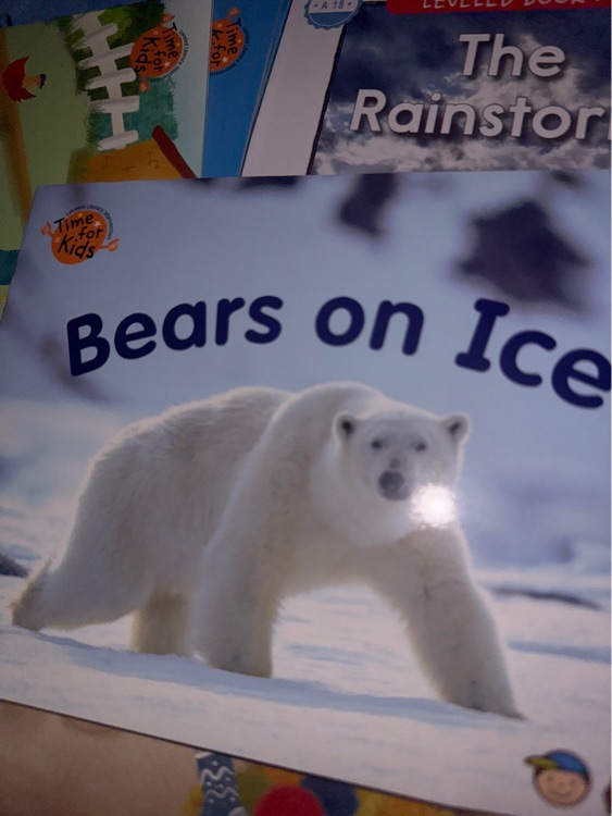 海尼曼 bears on ice