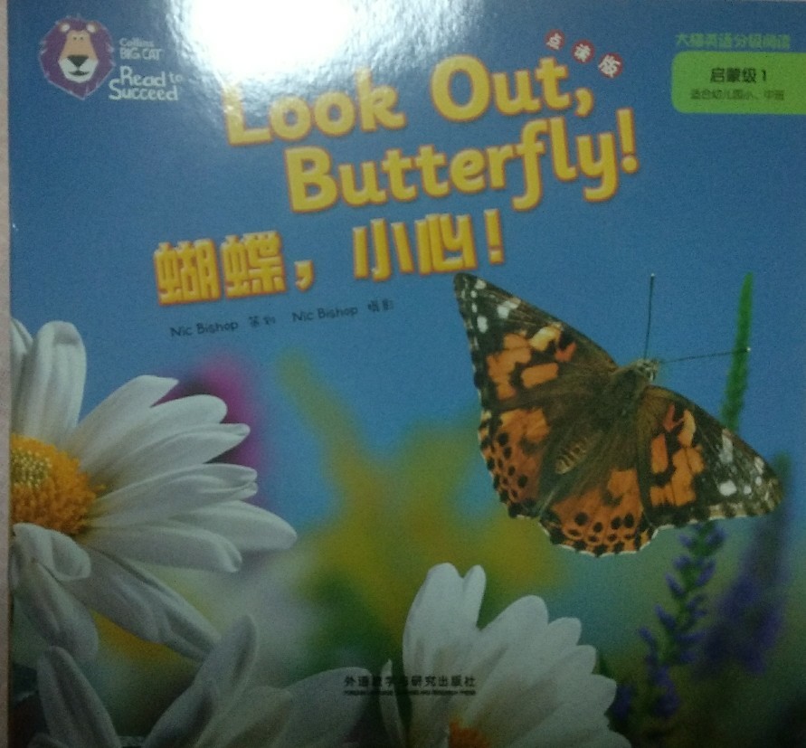 look out,butterfly