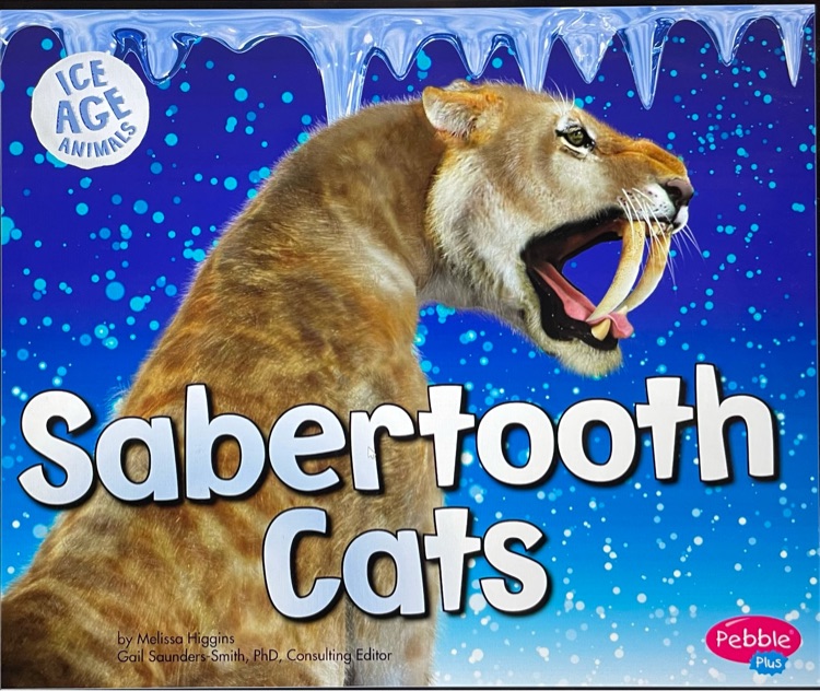 Sabertooth cats