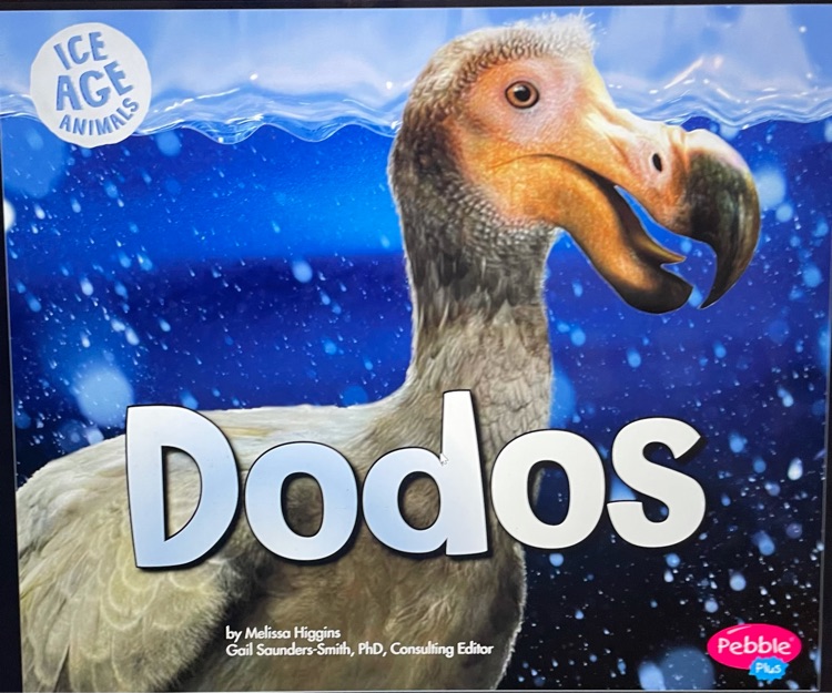 Dodos