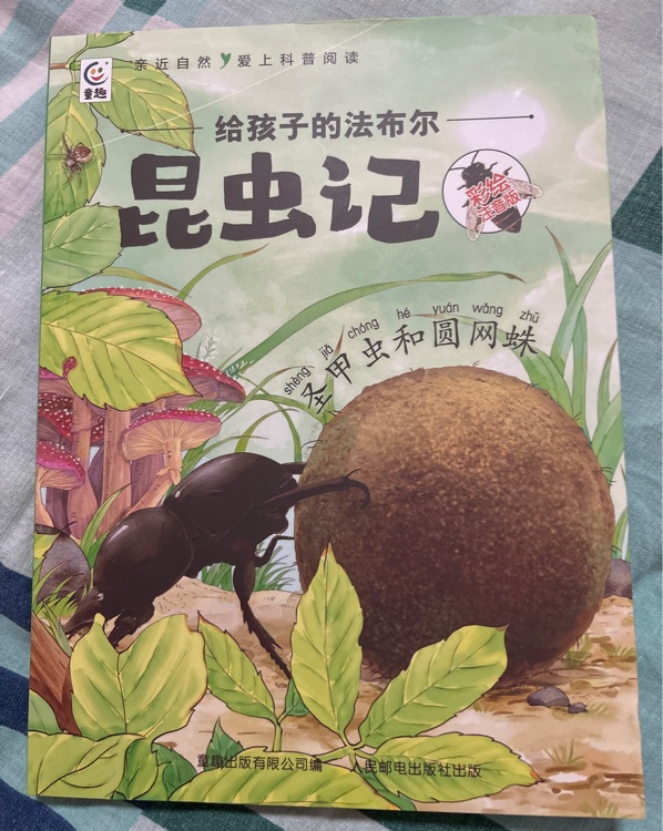 昆蟲記——圣甲蟲和圓網(wǎng)蛛