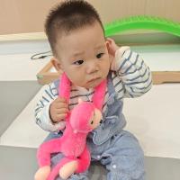 Hello圖圖