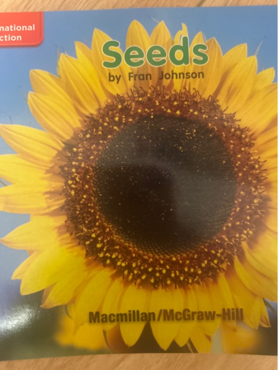 加州少兒英語(yǔ)seeds