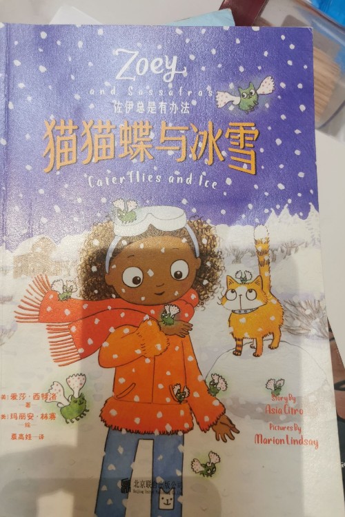 佐伊總有辦法貓貓碟與冰雪