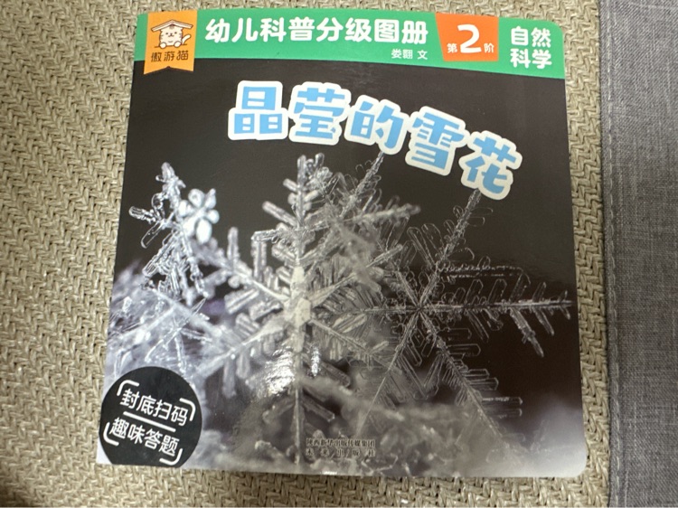 晶瑩的雪花