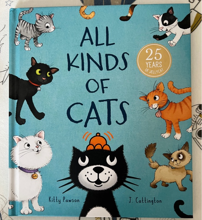 All kinds of cats