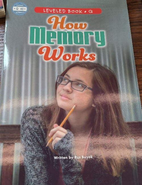 how memory works