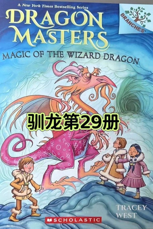 dragon masters #29 Magic of the wizard dragon