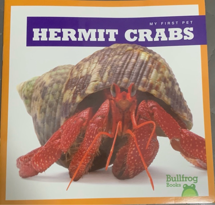 hermit crabs