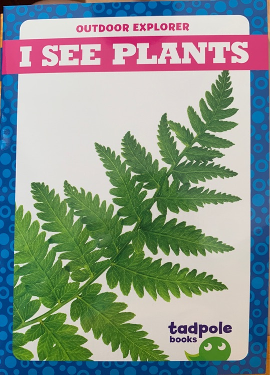 I see plants