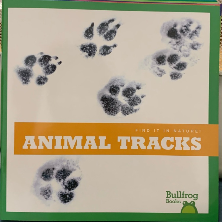 Animal tracks