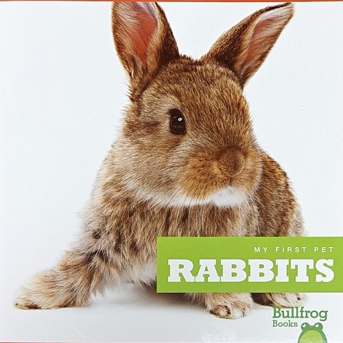 jump百科-a-rabbits