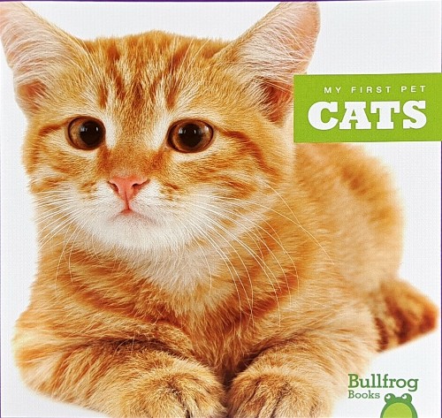 jump百科-a-cats