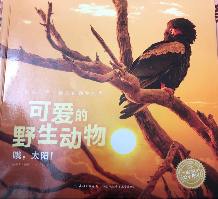 可愛的野生動物