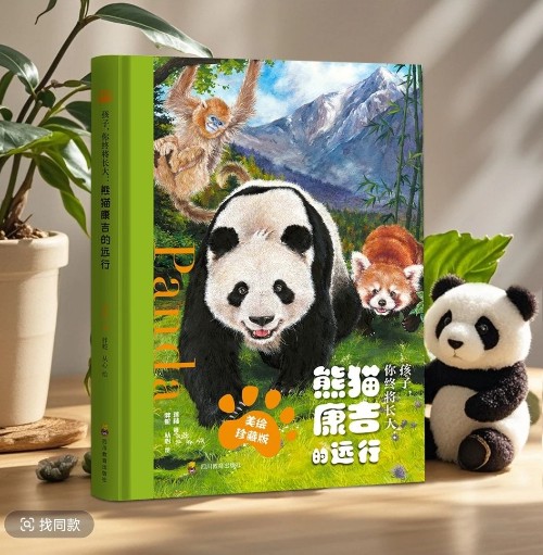熊猫康吉的远行