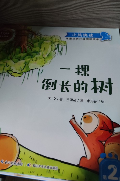一棵倒长的树
