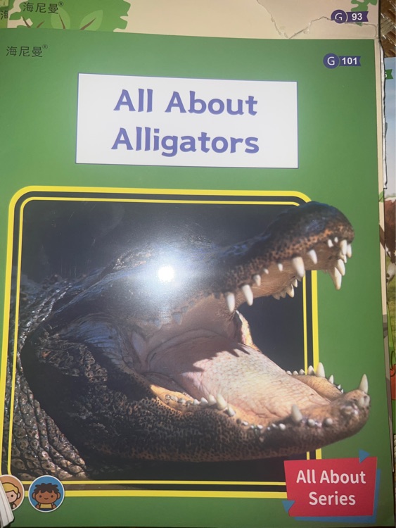 All about alligators