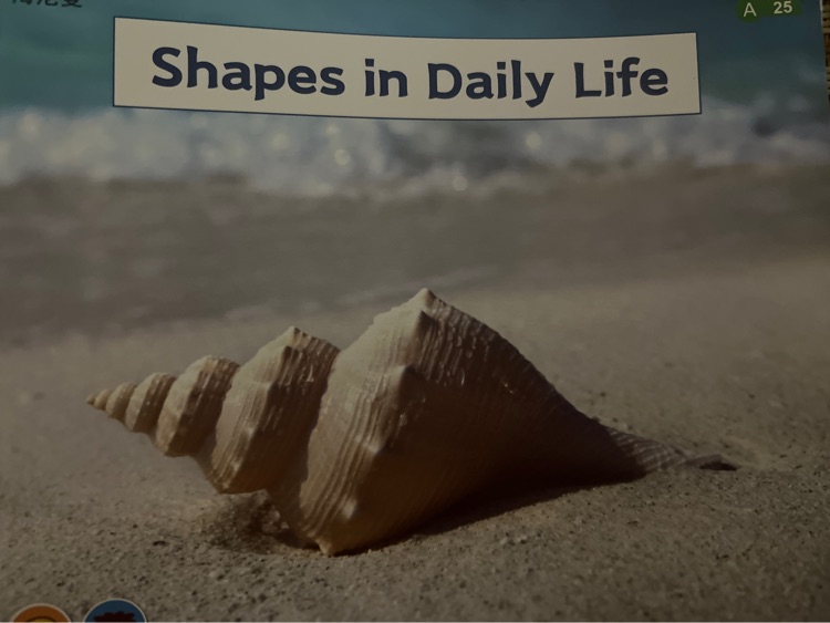 Shapes in daily life