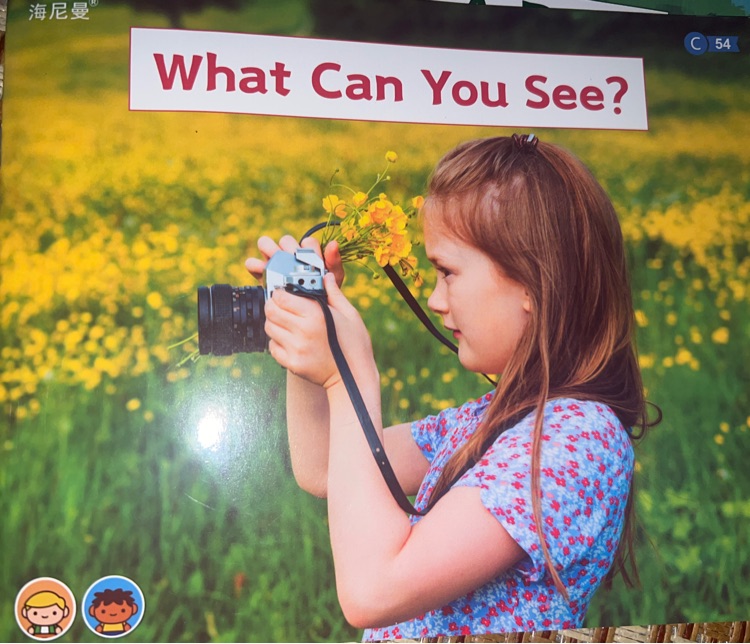 What can you see