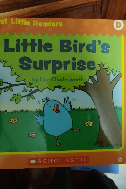 学乐小读者Dlittle birds surprise