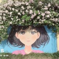 悠宝888