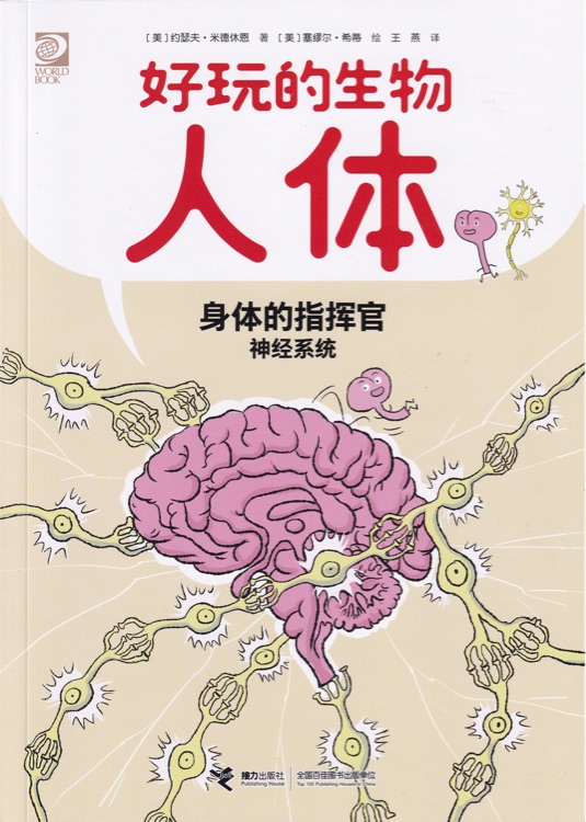 身體的指揮官(神經(jīng)系統(tǒng))