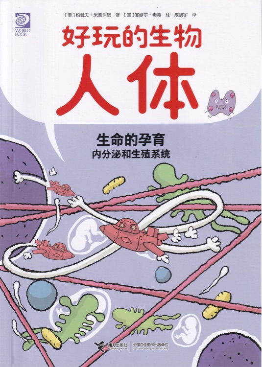 生命的孕育(內分泌和生殖系統(tǒng))