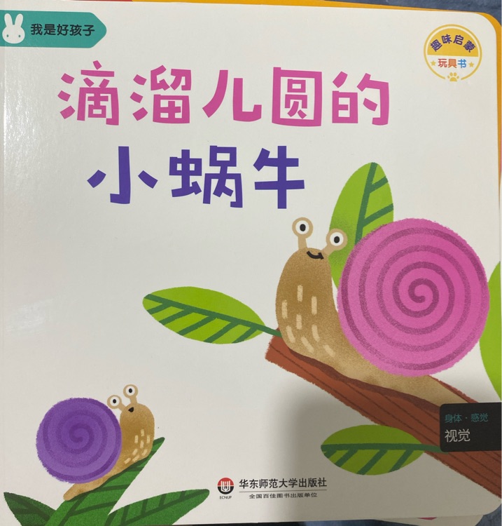 滴溜兒圓的小蝸牛